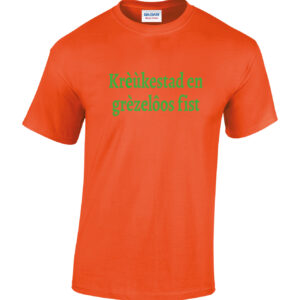 Zomer carnaval t-shirt met leuke tilburgse teksten in groen/oranje en oranje/groen. HB-Webshop onderdeel van HB-Creations Tilburg Reeshof.